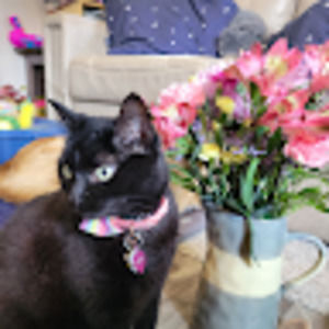 Meet your Posher, Lena